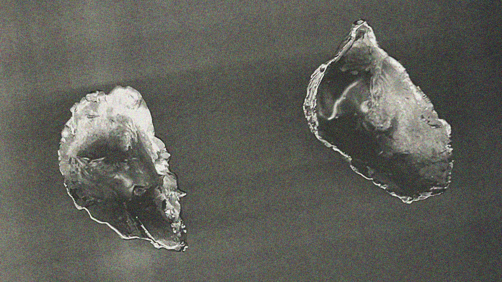 A Shell Stood for Zero