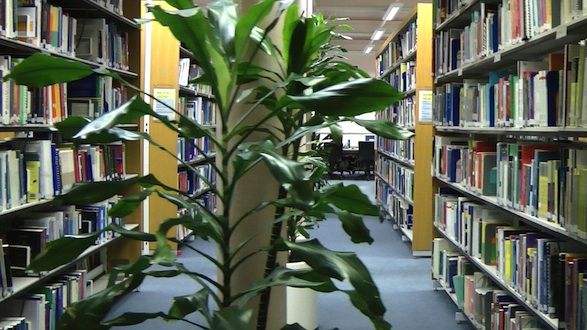 Still from <i>Course</i> 2011