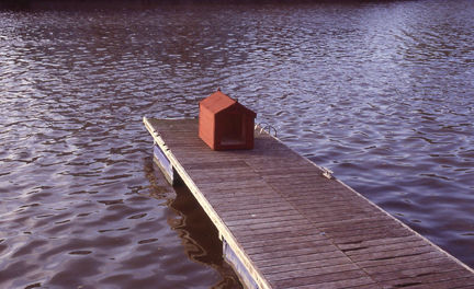 <b>David Shepherd</b>, <i>DRIFTER</i>, 2003