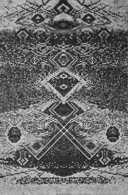 <i>Xcuse Me While I Kiss The Sky</i> 2007