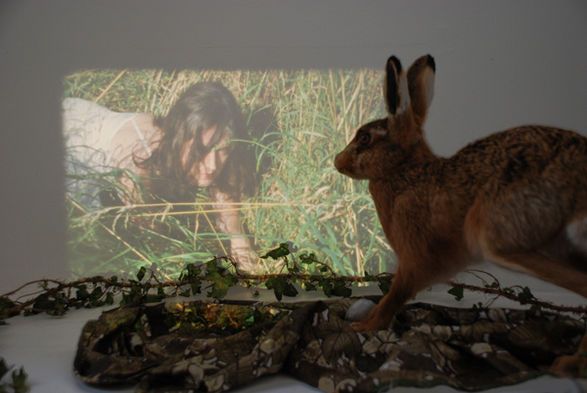 Rebecca Spooner, The White Stag