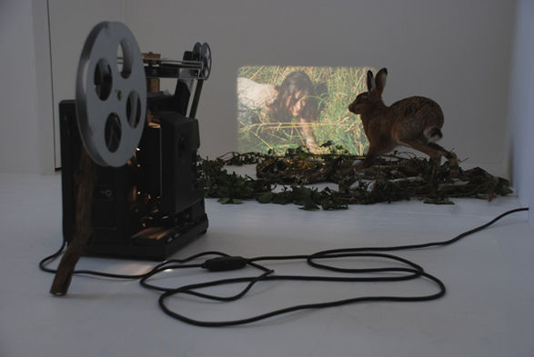 Rebecca Spooner, The White Stag