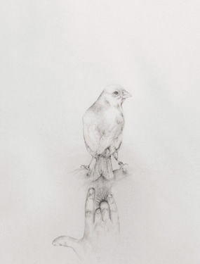 Miranda Whall, Untitled Miranda Whall, Untitled