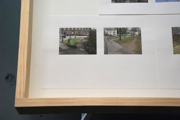 Richard Powell, <i>Desire Lines</i>