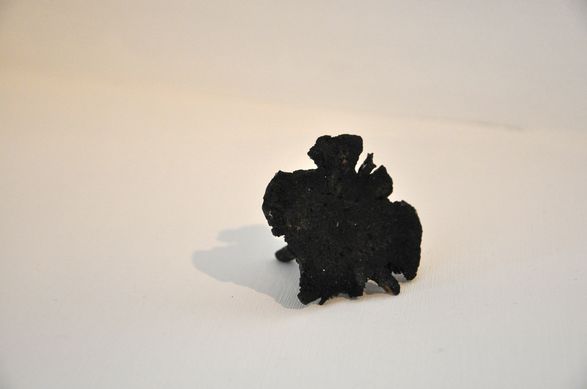<i>Mushroom</i>, 2012. Resin, coal dust