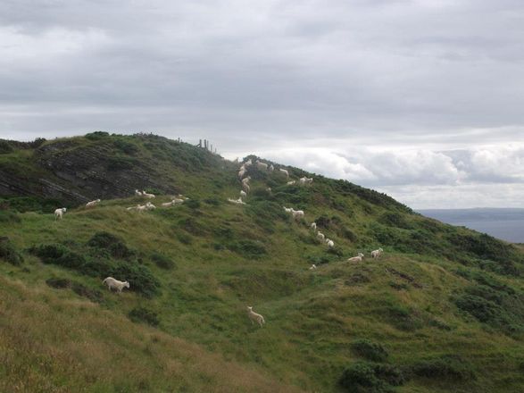 <i>Right of the Land</i>, documentation (2012) <i>Right of the Land</i>, documentation (2012)