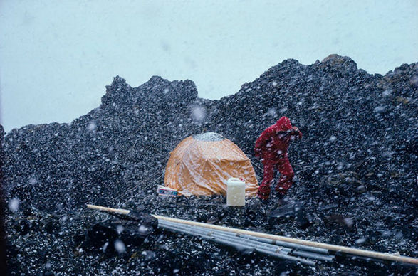 Freddy Dewe Mathews, image  K. H Johansen, Norsk PolarInstitutt