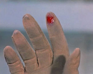 Martijn Hendricks, still from <i>The Birds without the birds</i>