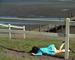 Martijn Hendricks, still from <i>The Birds without the birds</i>