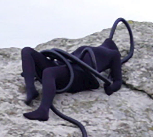 Jennifer Taylor, Video Still, Detail, Filmed at Carreg Samson in Pembrokeshire, 2016 Jennifer Taylor, Video Still, Detail, Filmed at Carreg Samson in Pembrokeshire, 2016