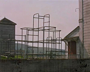 Martijn Hendricks, still from <i>The Birds without the birds</i>