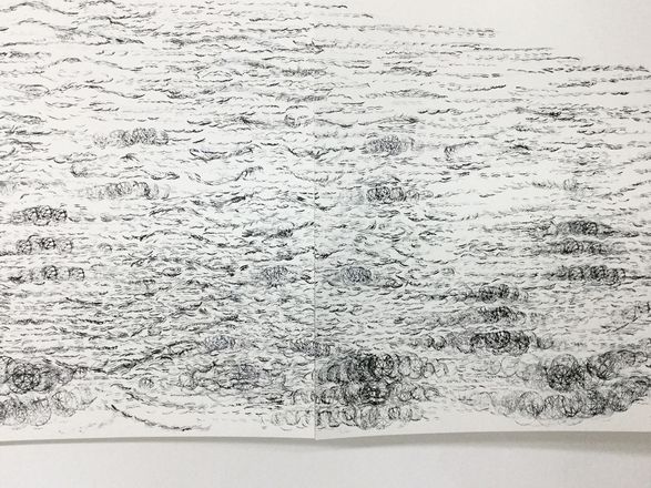 Anne-Mie Melis, Murmuration (close up detail), Drawing on paper, 2016