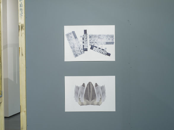 Sightseers <i>Installation View, Beth Elen Roberts</i> 2018