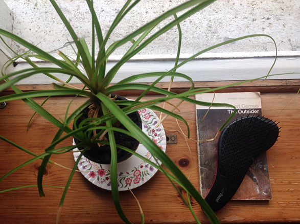 Claire Prosser, <i>Windowsill Exchange Project</i>, 2015 Claire Prosser, <i>Windowsill Exchange Project</i>, 2015