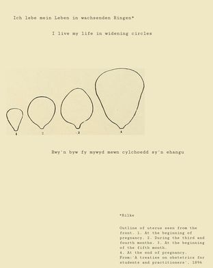 Fern Thomas, widening circles, text and image work, 2019