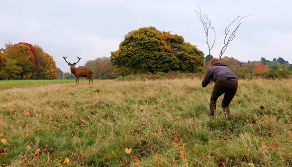 Rebecca Moss, Herd Mentality, video still