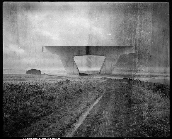 Anti-Nature, Tim Freeman 2009