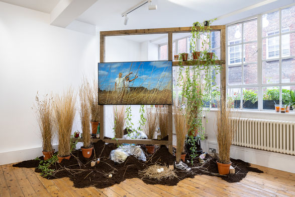 The air is subtle, various and sweet, installed at Niru Ratnam Gallery, Adham Faramawy, 2021.jpg The air is subtle, various and sweet, installed at Niru Ratnam Gallery, Adham Faramawy, 2021.jpg