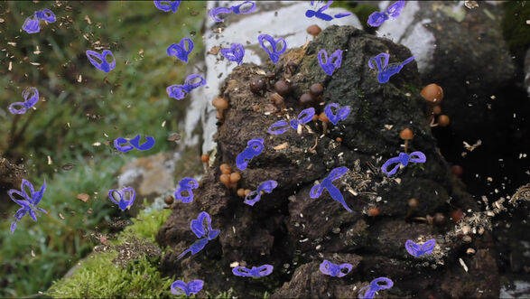 Andrew Black, Revenge Fantasy, 2019, video still