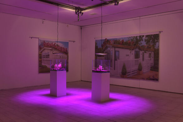 <i>Photo: MSU Skopje</i>