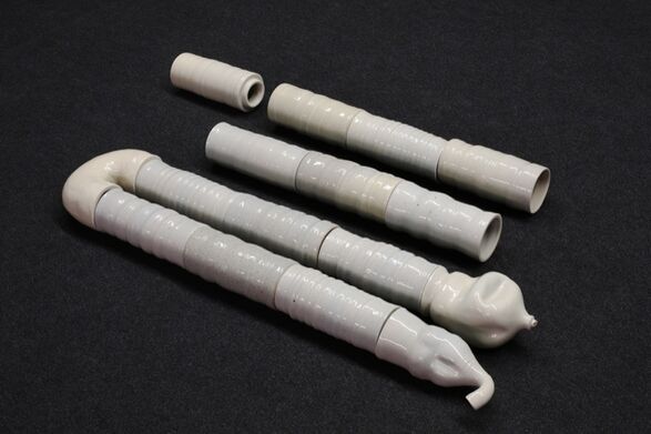 Ciarn  Dochartaigh, enlarged glazed ceramic intersintes and stomach  2022