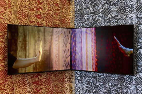 Aqsa Arif Marvi and the Churail 2024 (detail).Southwark Park Galleries. Ffoto: Rita Silva
