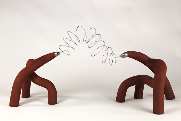Mangrove Conversation
