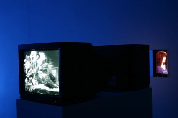 Vanitas [an illusion], Tamara Krikorian, 1978