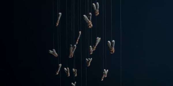 Terracotta Insect Making with Brian Denman