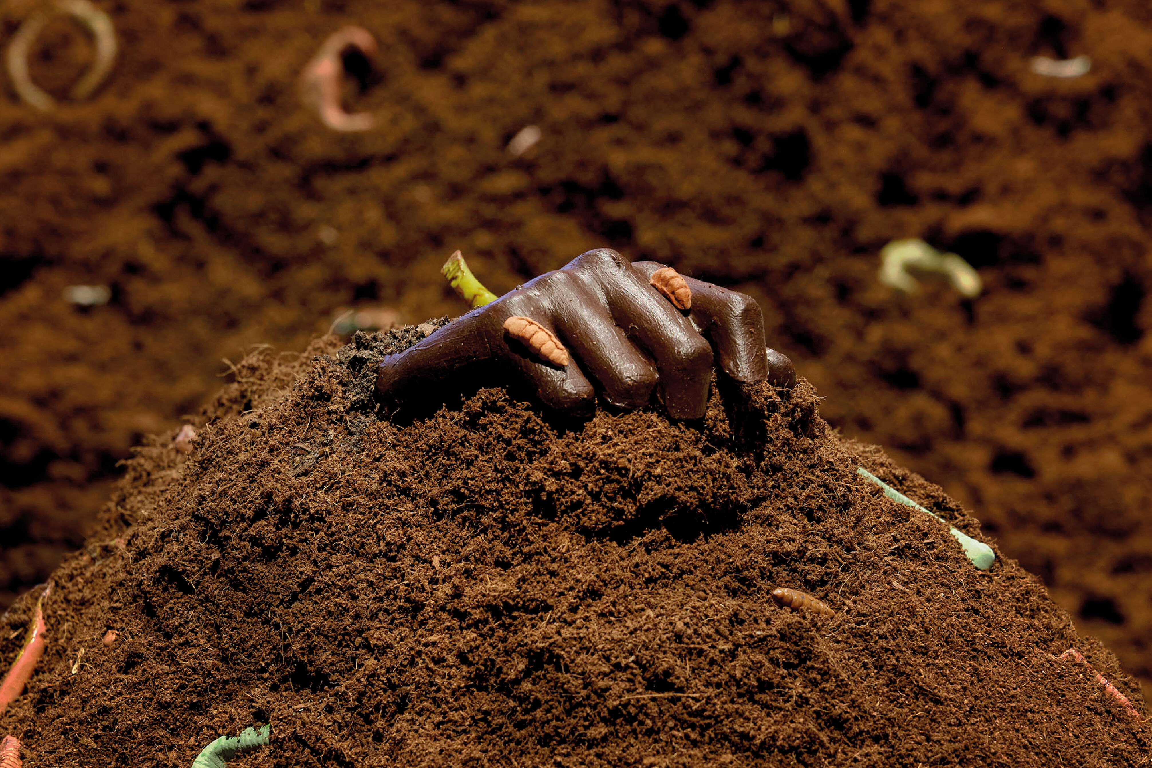 Exhibition:<br>Heaven in the Ground