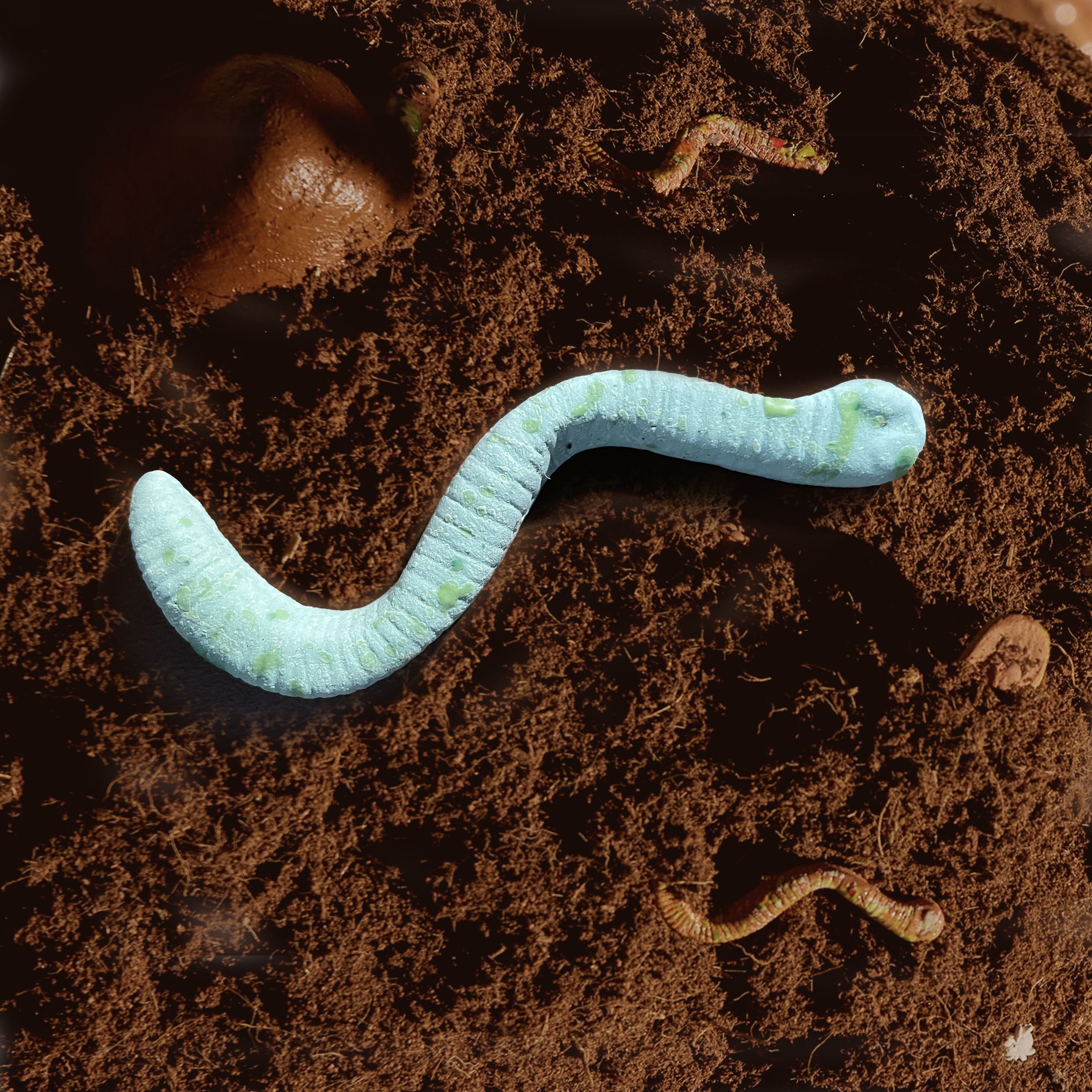 Workshop - <br>Terracotta Insect Making with Brian Denman