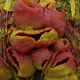 <b>Paul Emmanuel</b>, <i>Farm Shop</i> 2012