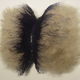 <b>Paul Emmanuel</b>, <i>blaencar</i> 2010