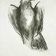Rebecca Spooner, Untitled, 2012