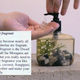 <i>Persephone</i> 3` 54`` Video with sound, 2012 