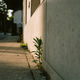 Zillah Bowes, Still from Allowed (2021). Photographic series and single channel moving image, 35mm. 3 min, 24 sec.