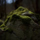 Zillah Bowes, Cwm yr Esgob (landscape in moonlight) from the series Green Dark (2021) C- type print, 62 x 87 x 4 cm.