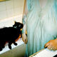 Richard Billingham, <i>Fishtank</i>,Still, 1998